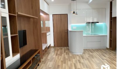 HOÀN THIỆN NỘI THẤT CĂN HỘ CHUNG CƯ SỐ 2, NGUYỄN HỮU CẢNH
