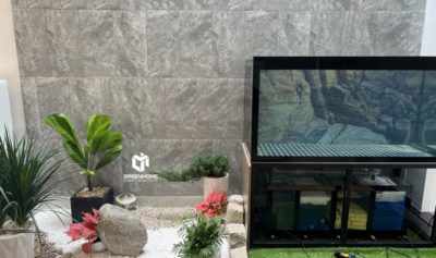 HOÀN THIỆN NỘI THẤT TRỌN GÓI TẠI XUYÊN MỘC - CHUẨN THIẾT KẾ, ĐẢM BẢO CHẤT LƯỢNG & TIẾN ĐỘ